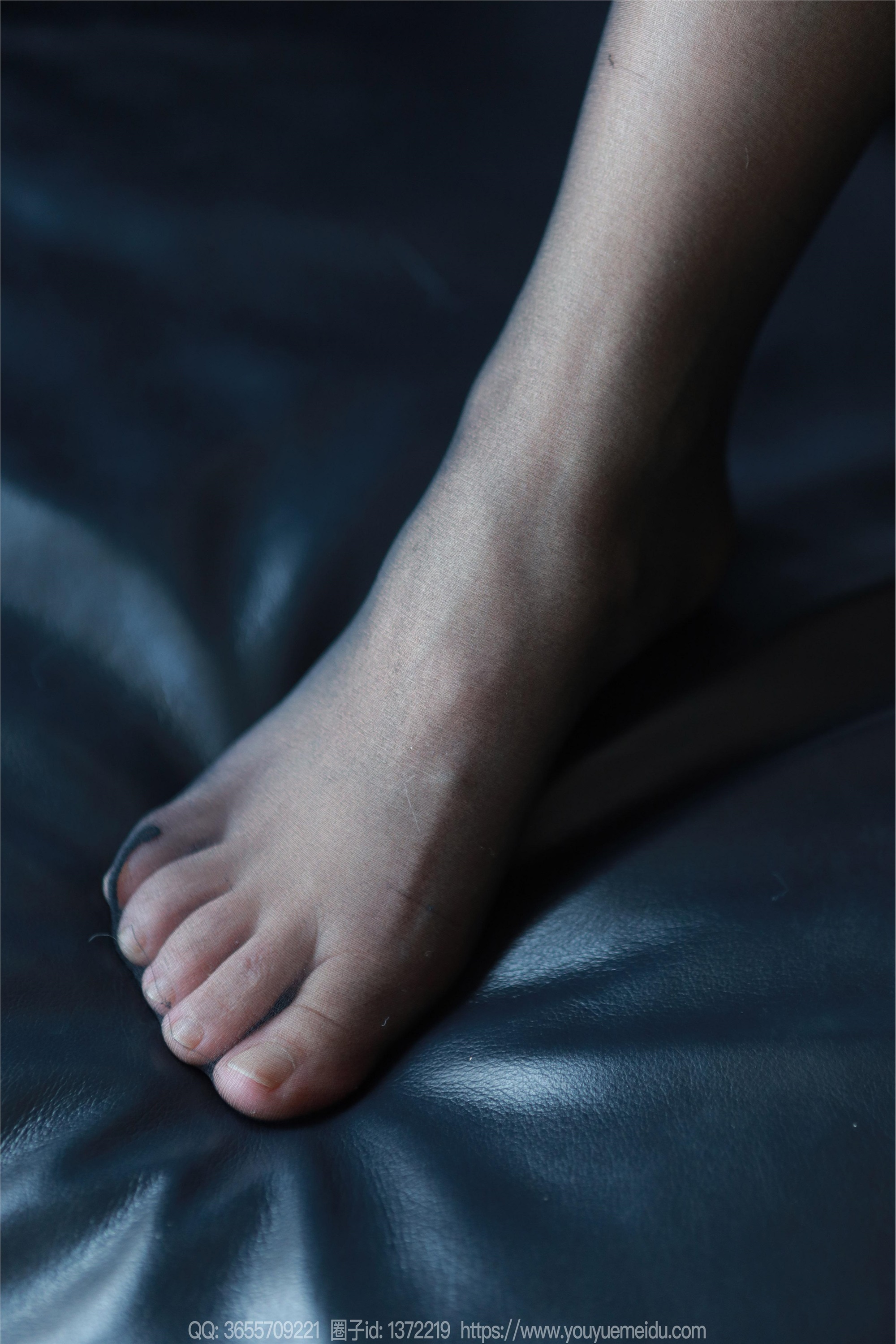 IESS异思趣向  2025.02.26 丝享家 1987 小金《毛绒绒》